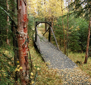 A beautiful, peaceful place for a retreat in Anchorage